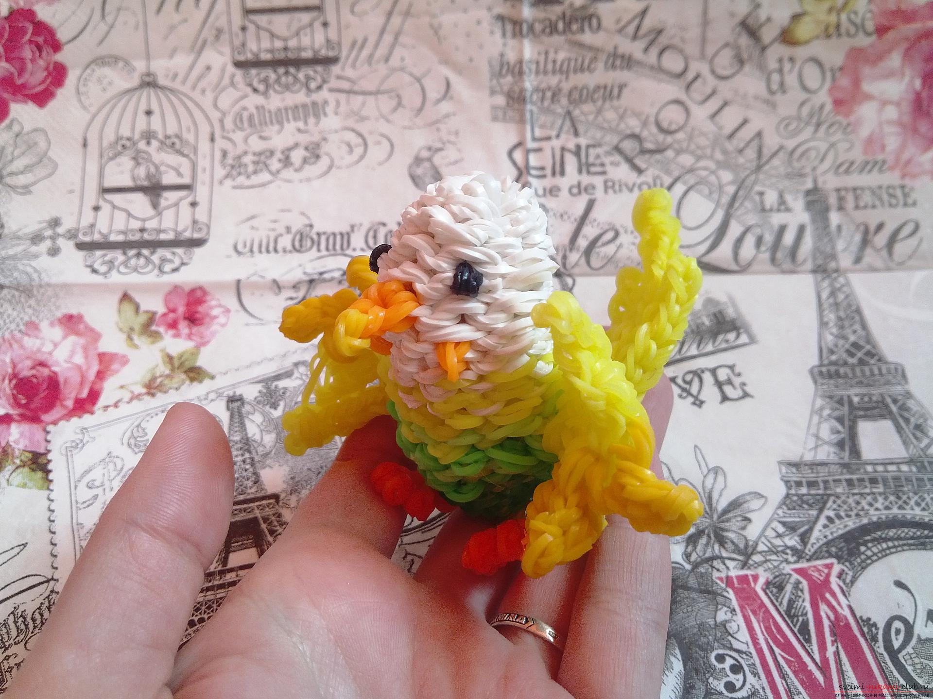 Мастер-класс с фото посвящен плетению игрушки из резинок, получится попугай своими руками.. Фото №15